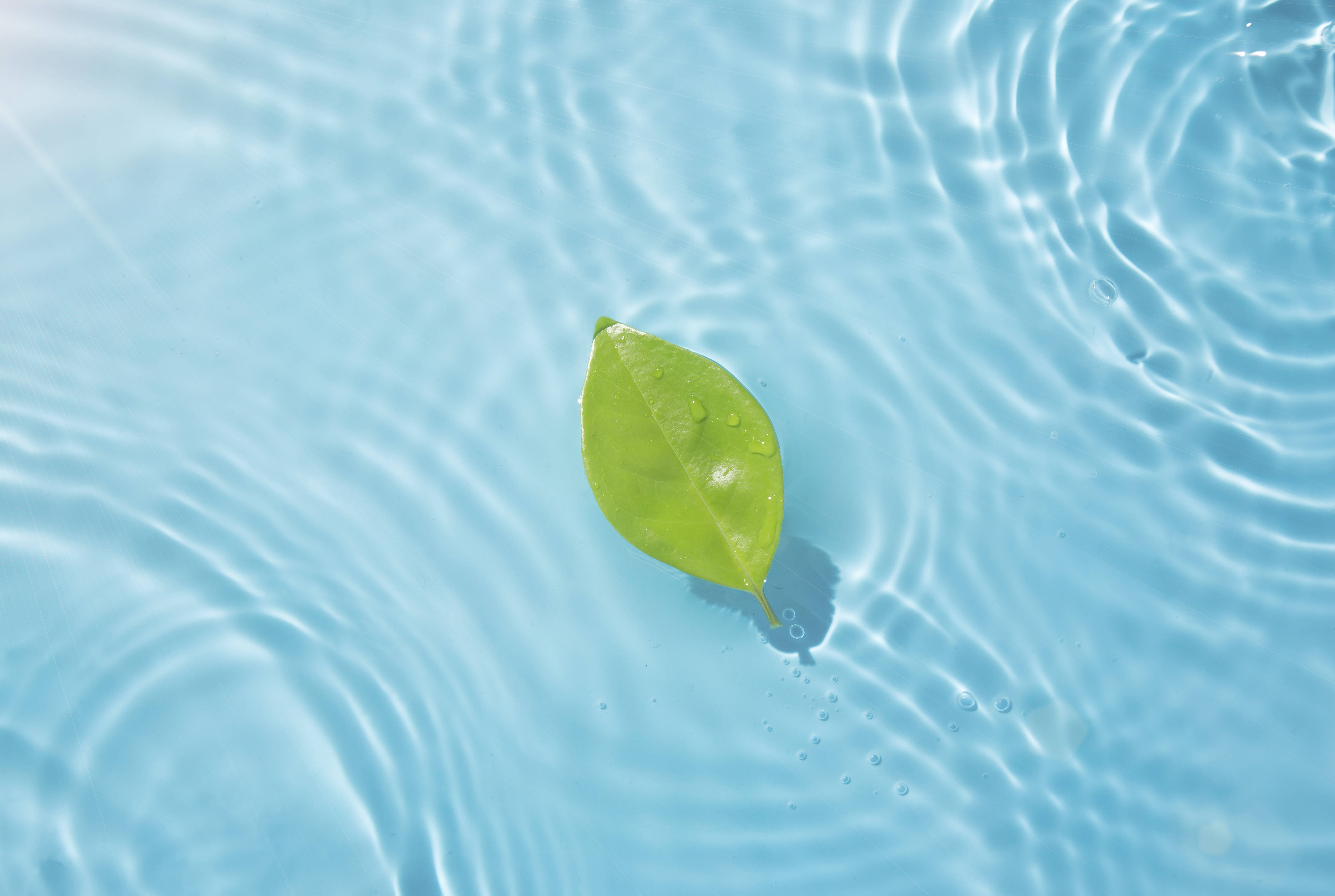 时评织密织好水下文物保护网