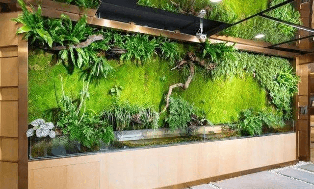 湖南绿蚁人浅谈长沙室内植物墙如何更好地契合家居风格