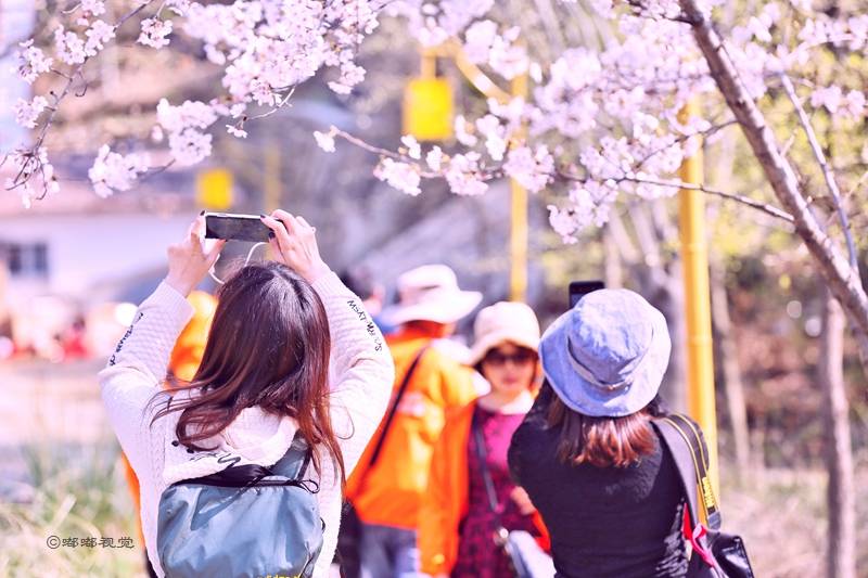 文化|宝鸡金台区文化旅游，值得在这风和日丽的阳春三月里推荐给你
