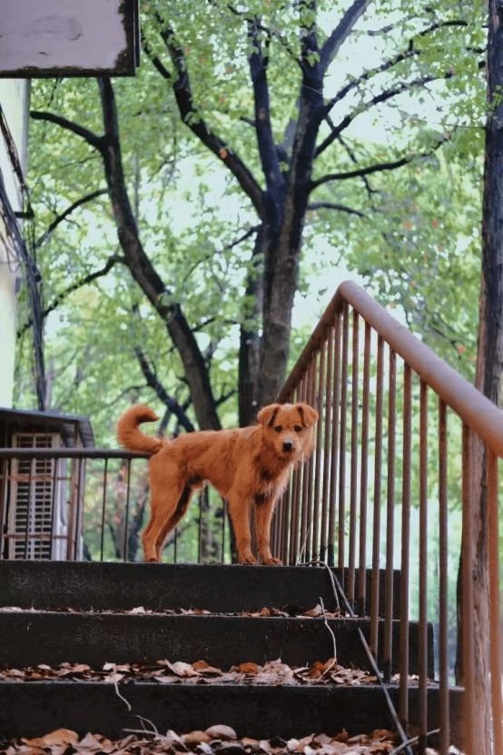 高清大图来袭长江大学最美校花亮相