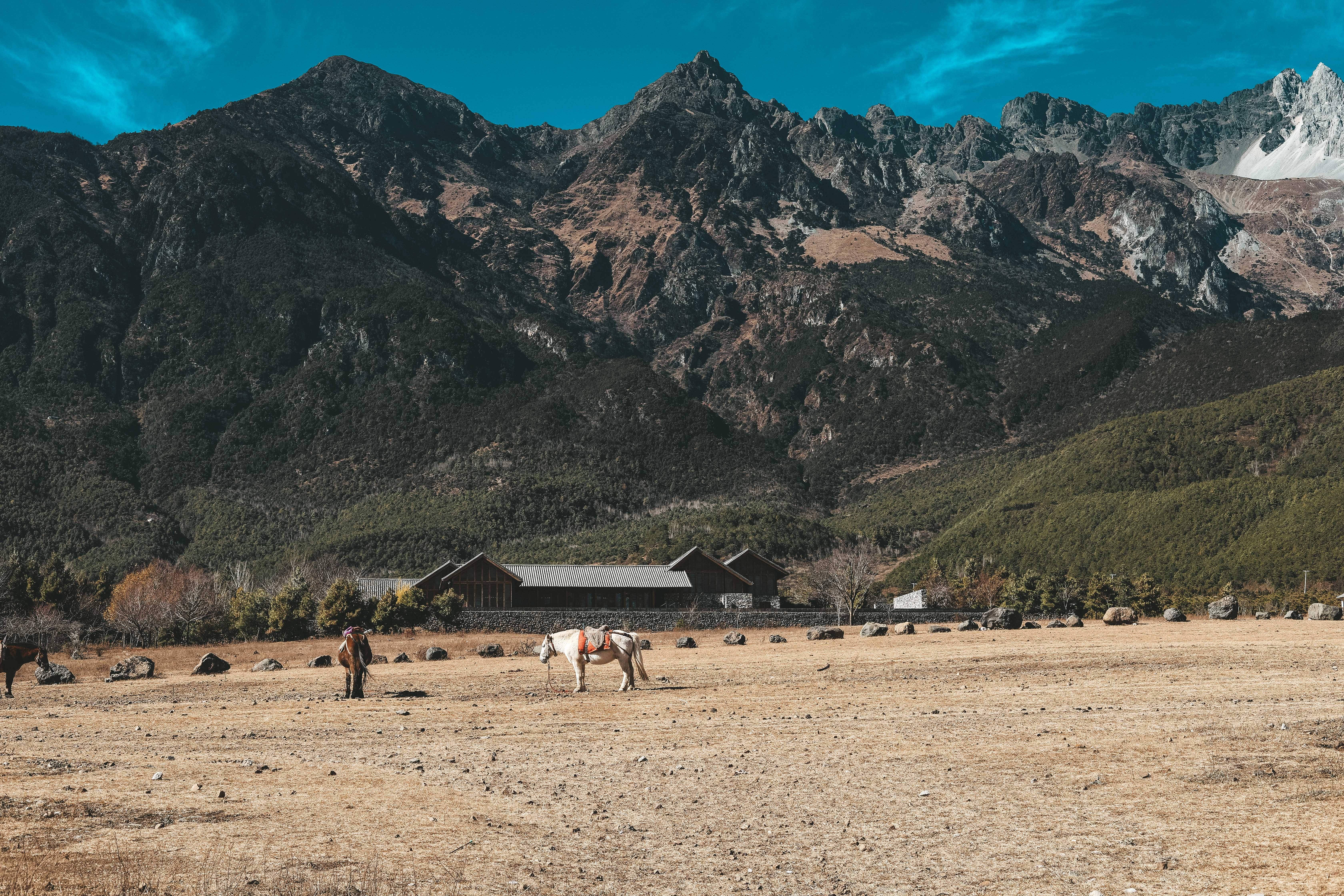 最靠近|最靠近玉龙雪山的村落，丽江的免费景点，《老闺蜜》大结局取景地