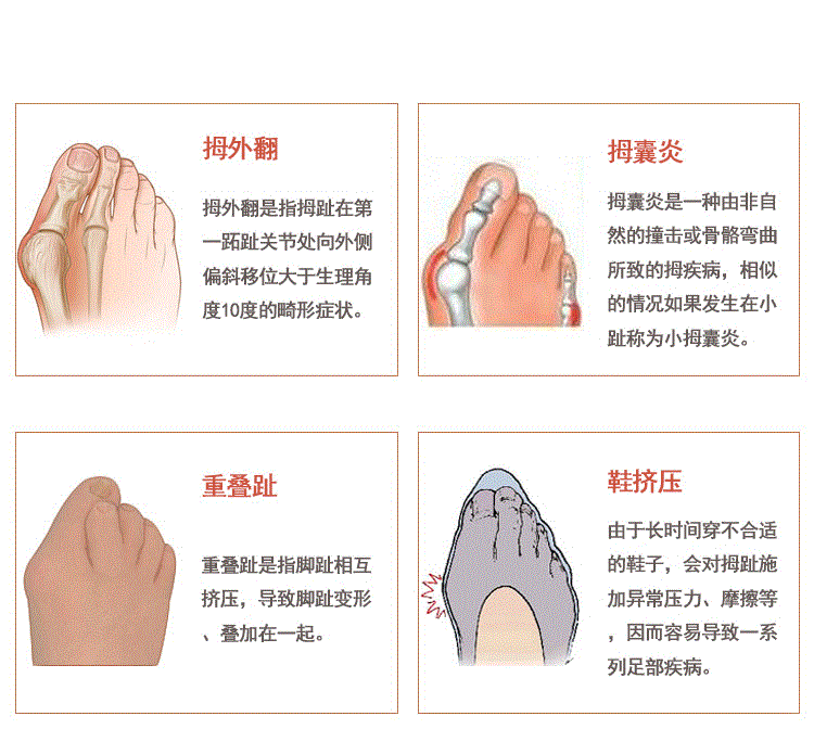 脚拇指的叫法图解图片