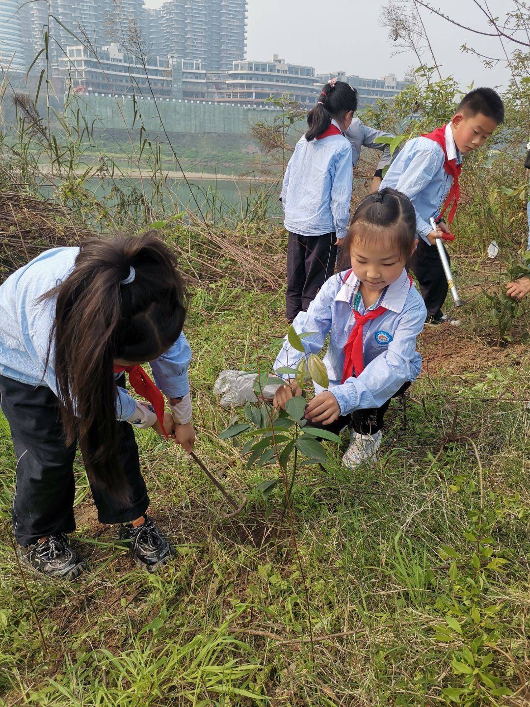 争做护绿小使者 红领巾在行动——泸州市龙马潭区新民小学植树活动