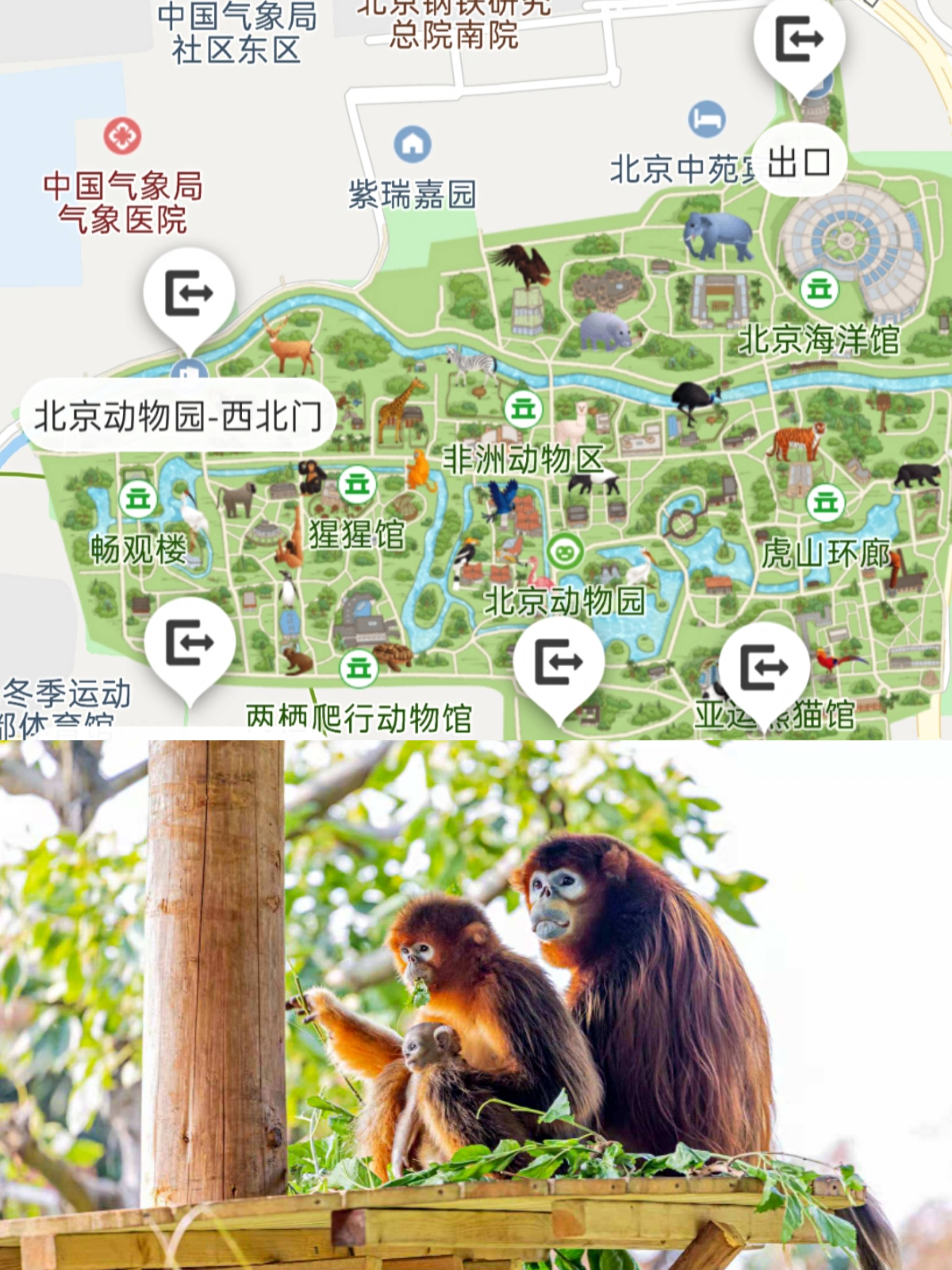北京动物园行李寄存指南北京动物园游玩攻略园区地图