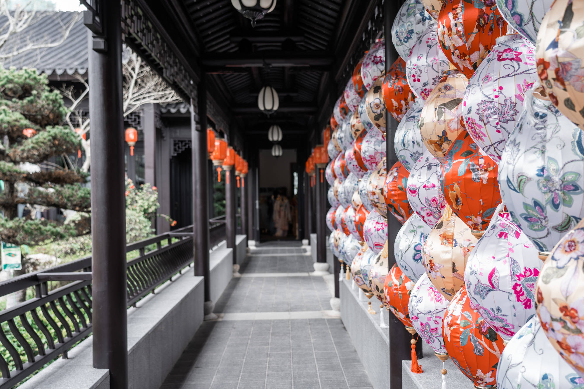 泰顺|华东大峡谷三日游，畅享美景、美食和温泉