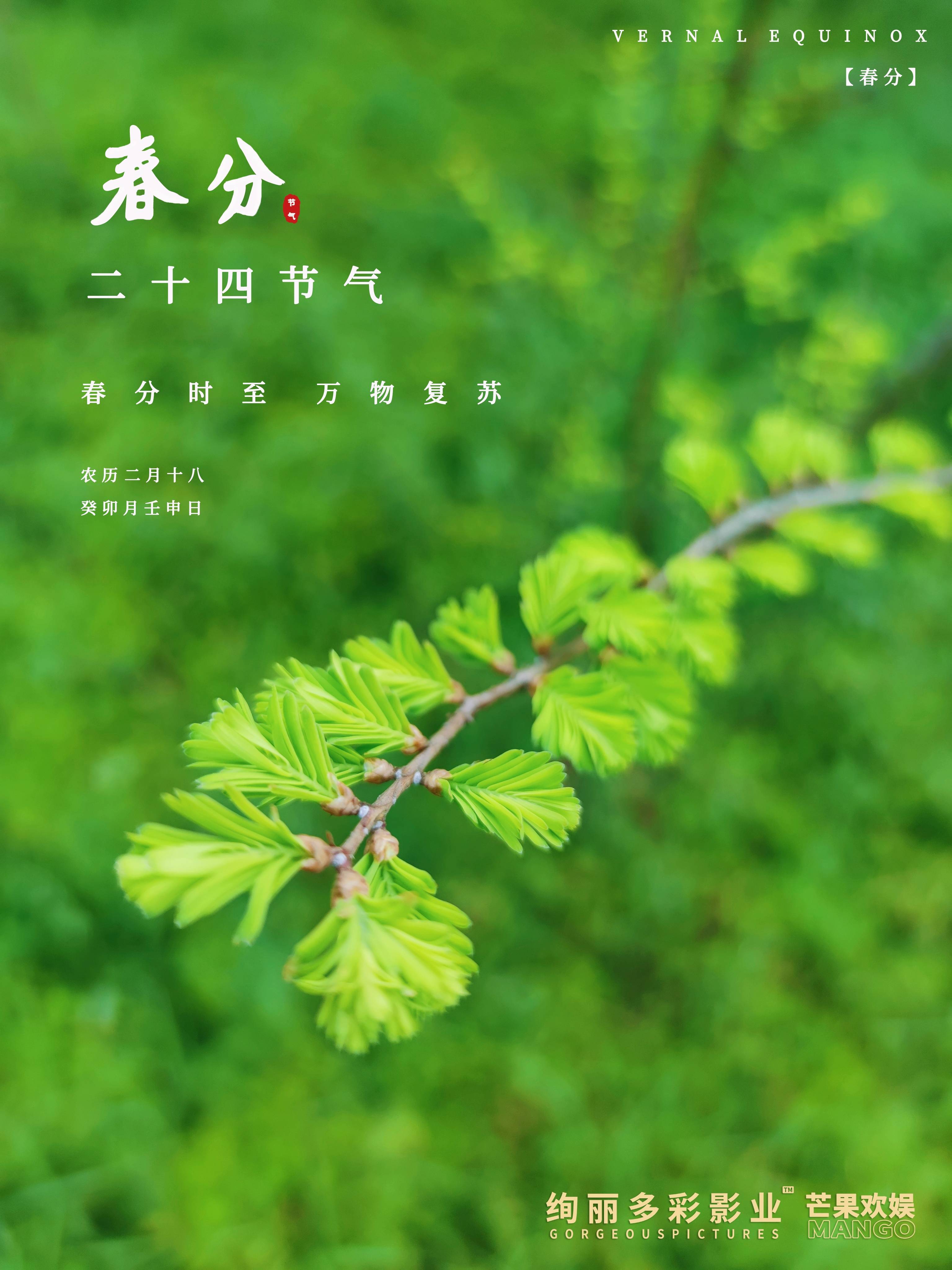 春分时至,万物复苏 一切美好由此开始_万物