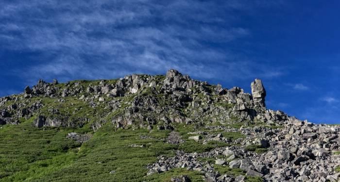 新风空调市场走红的逻辑,市场用户企业各取所需的产物-家电圈官网