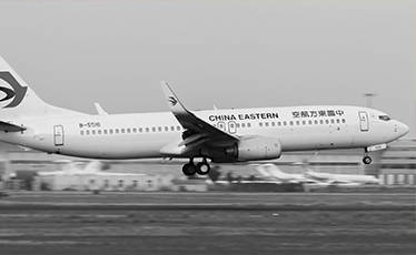 航班|从东航客机坠毁看波音737机型