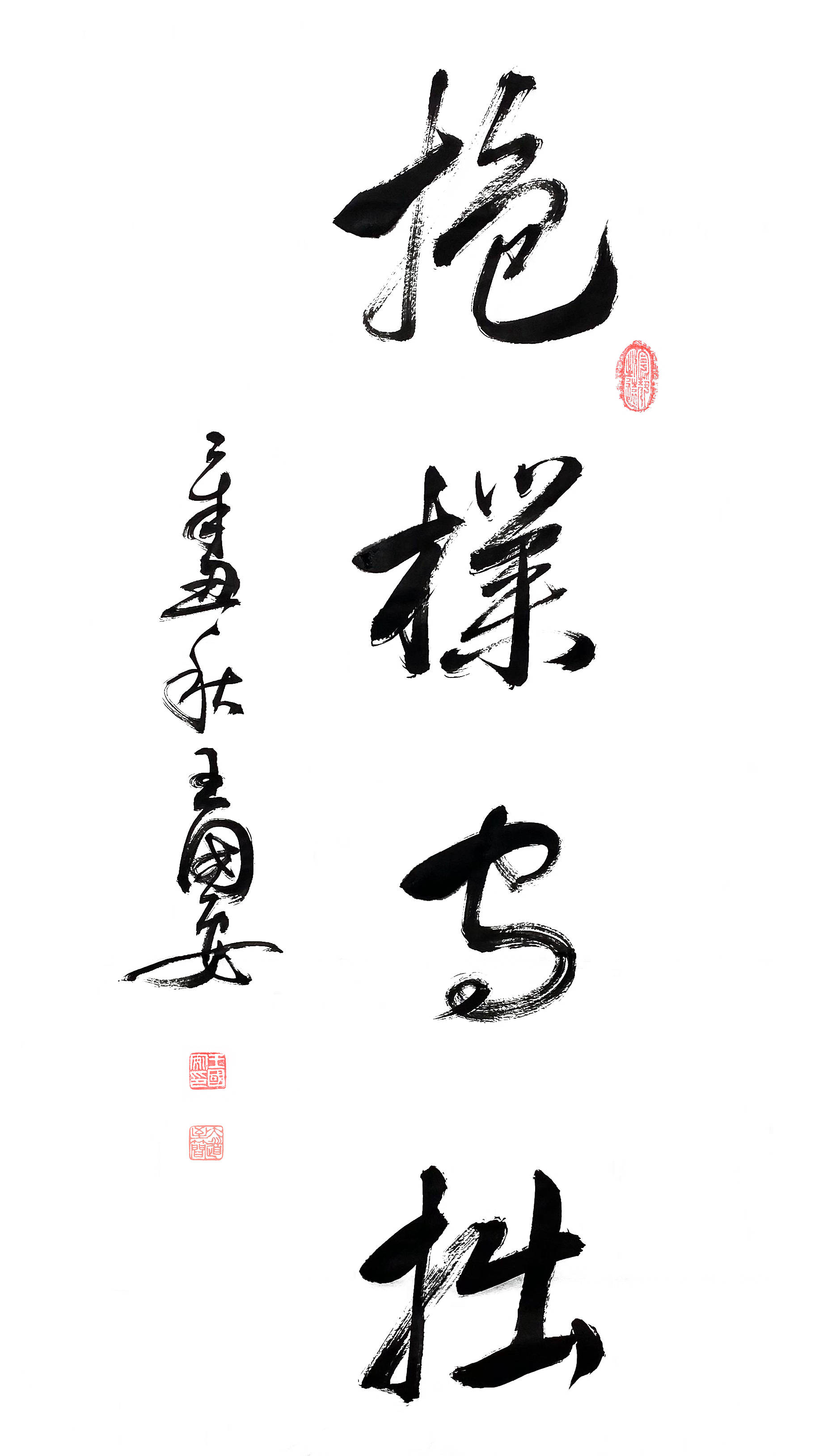 王国安书法作品欣赏