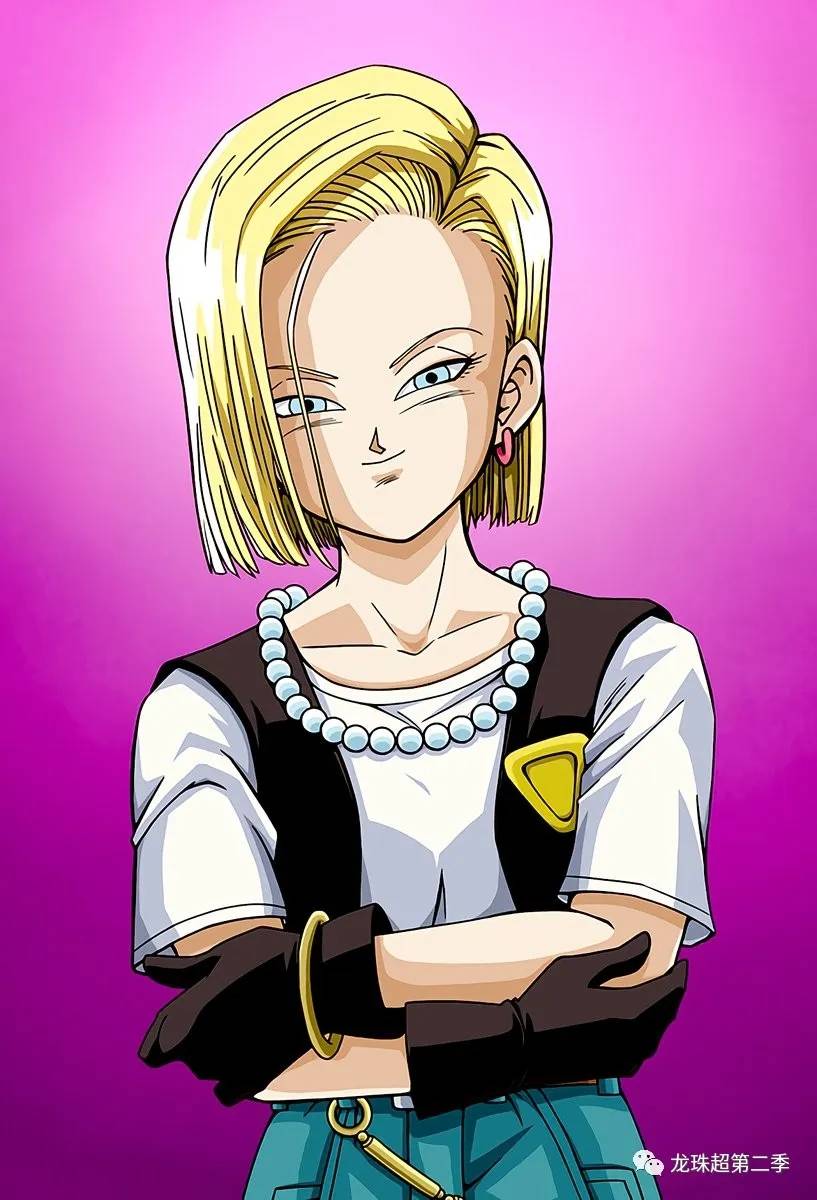 龙珠壁纸女神18号