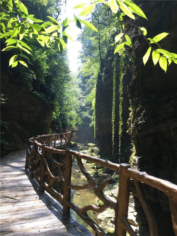 春暖花开草木返青三峡南津关大峡谷邀您共度美好时光