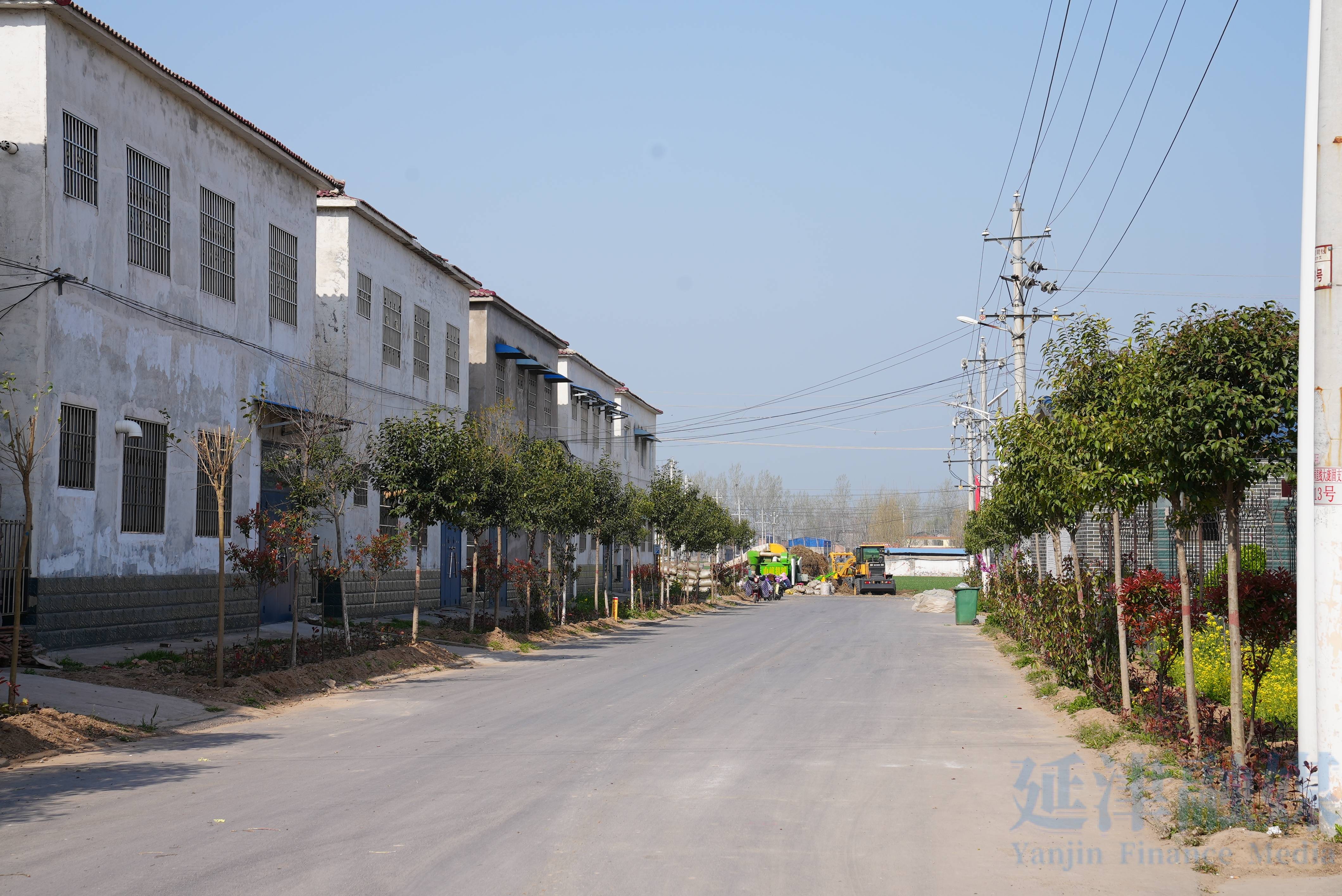 延津县固头村建设湖图片