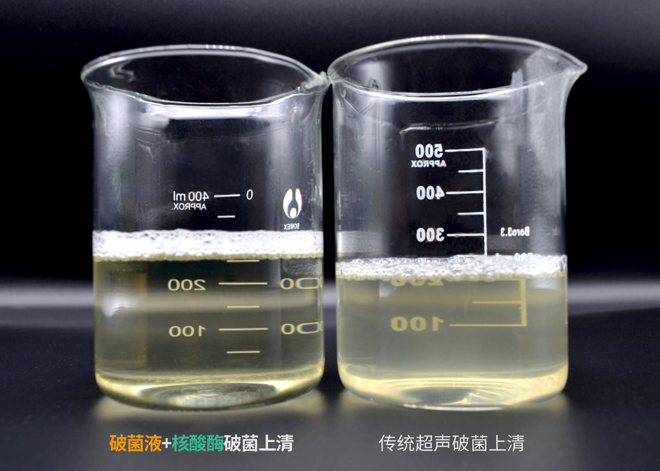 大腸桿菌原核表達培養也可以這麼簡單高效