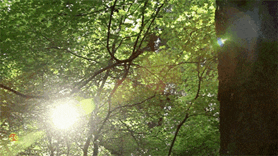 400_225gif 动态图 动图