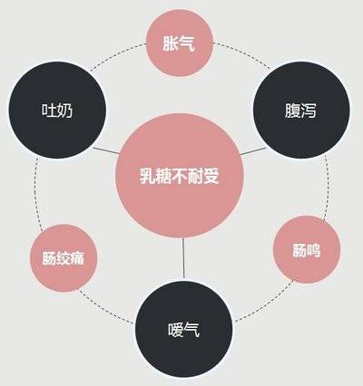 乳糖不耐受的克星--益生菌_鲜牛奶_症状_杆菌