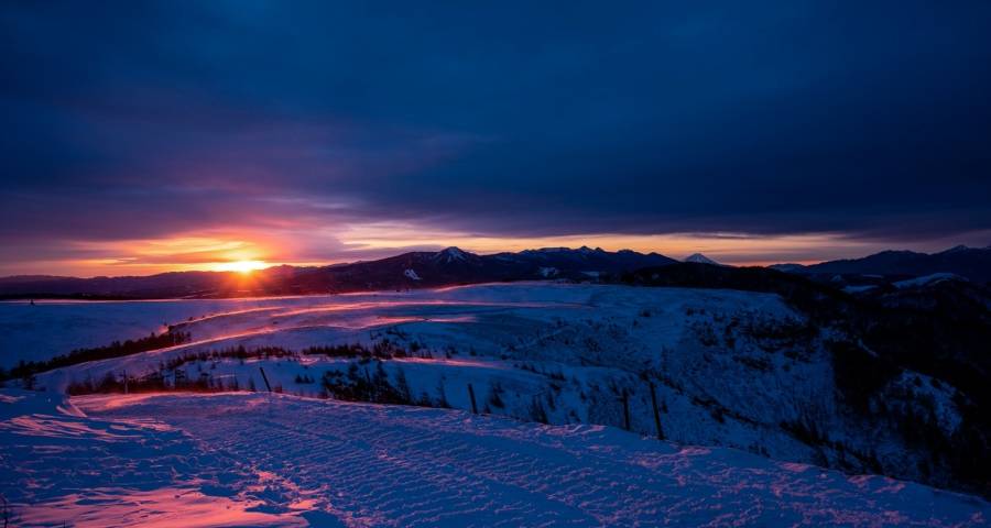 家电市场主流消费出现一些新鲜变化-家电圈官网