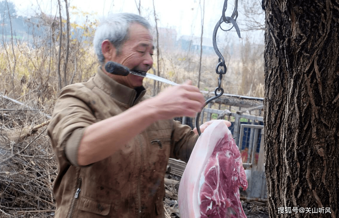 原创农村俗语燕子不入屠夫门是啥意思燕子真不去屠夫家筑巢吗