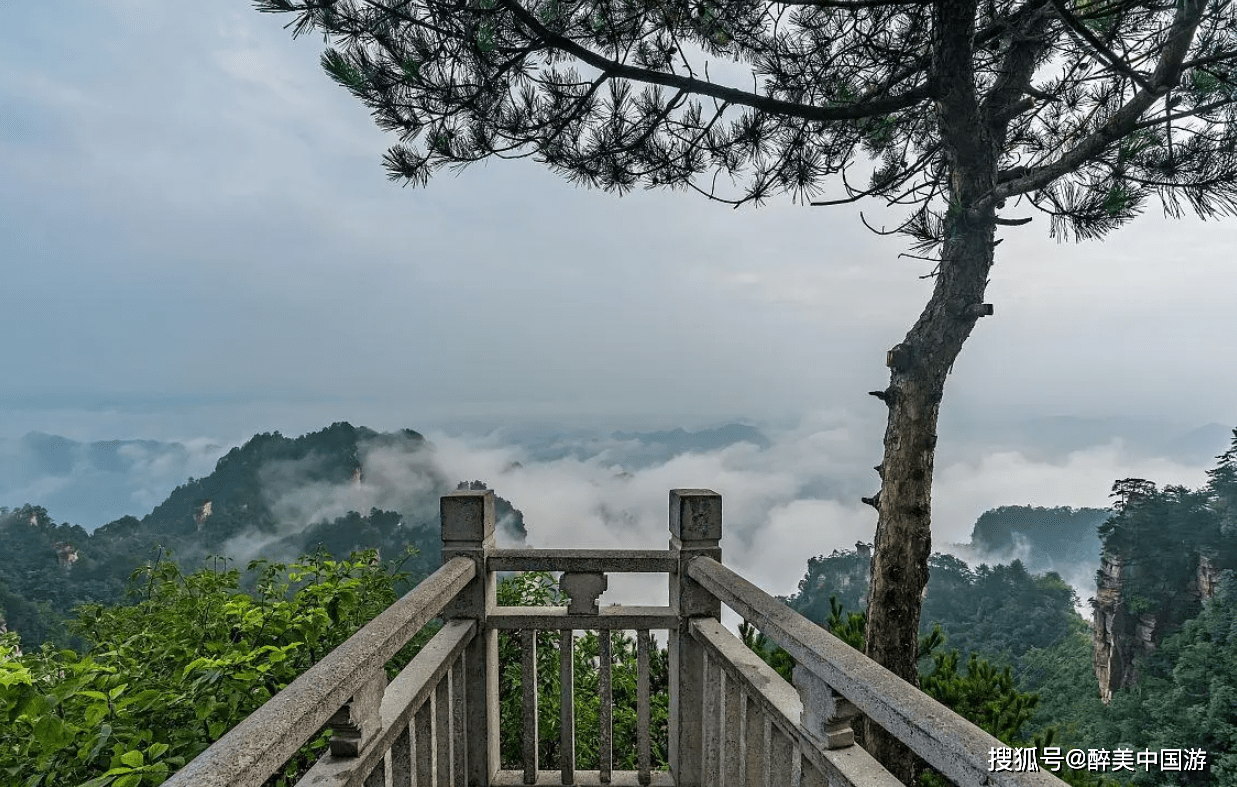 遊覽明月山高山草甸溪流縱橫風光旖旎