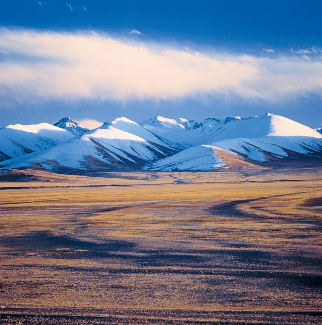 没想到青藏高原还有网红冰川伴着雪山飞鸟就像走进冰河世纪