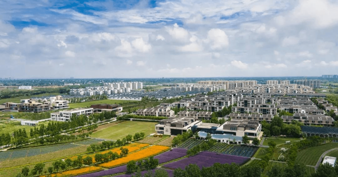 官网嘉兴世合理想大地官方网站世合理想大地欢迎您