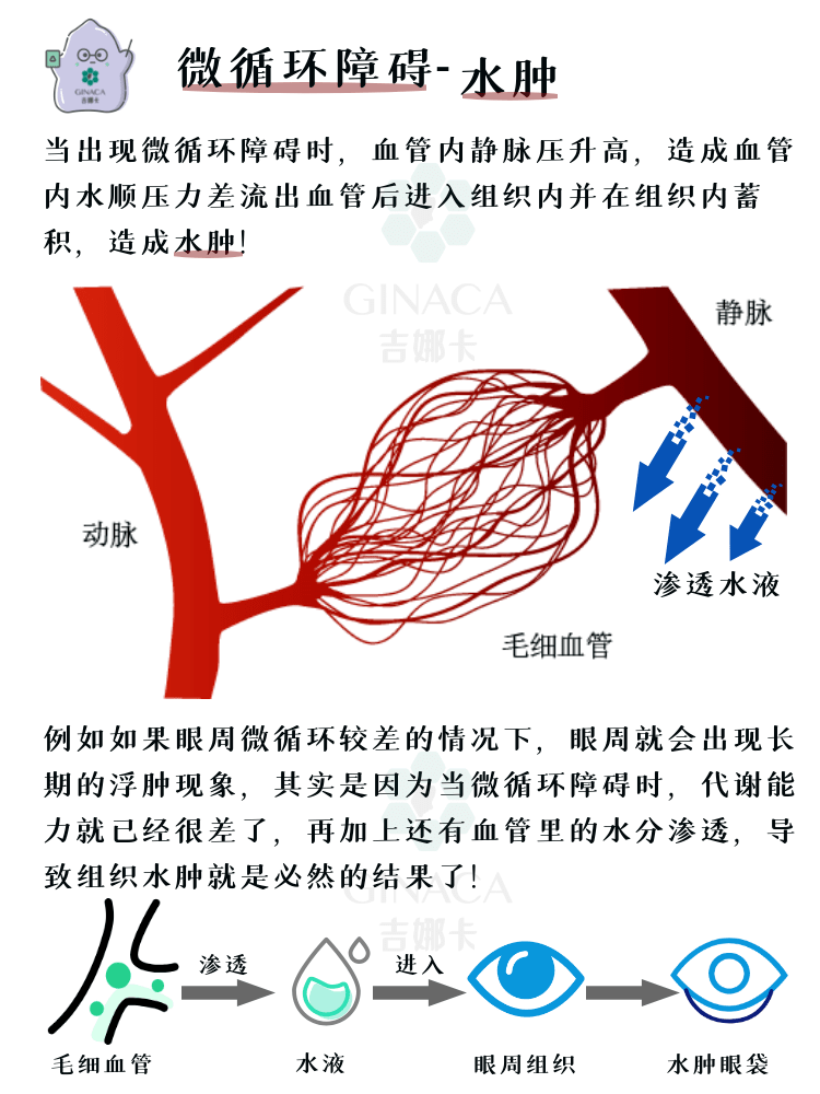 微血流紊乱示意图解析图片