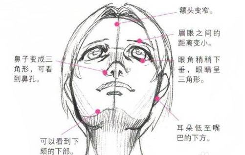 零基础小白脸部仰视的画法教程!