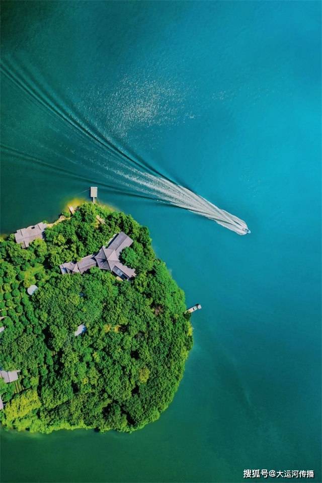 运河一品天目湖白茶咂出常州好滋味