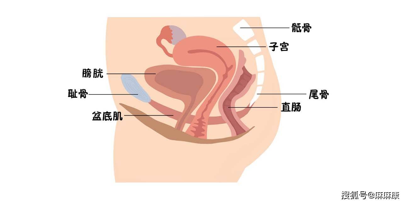 原创如何提高盆底肌康复效果这4点需要注意
