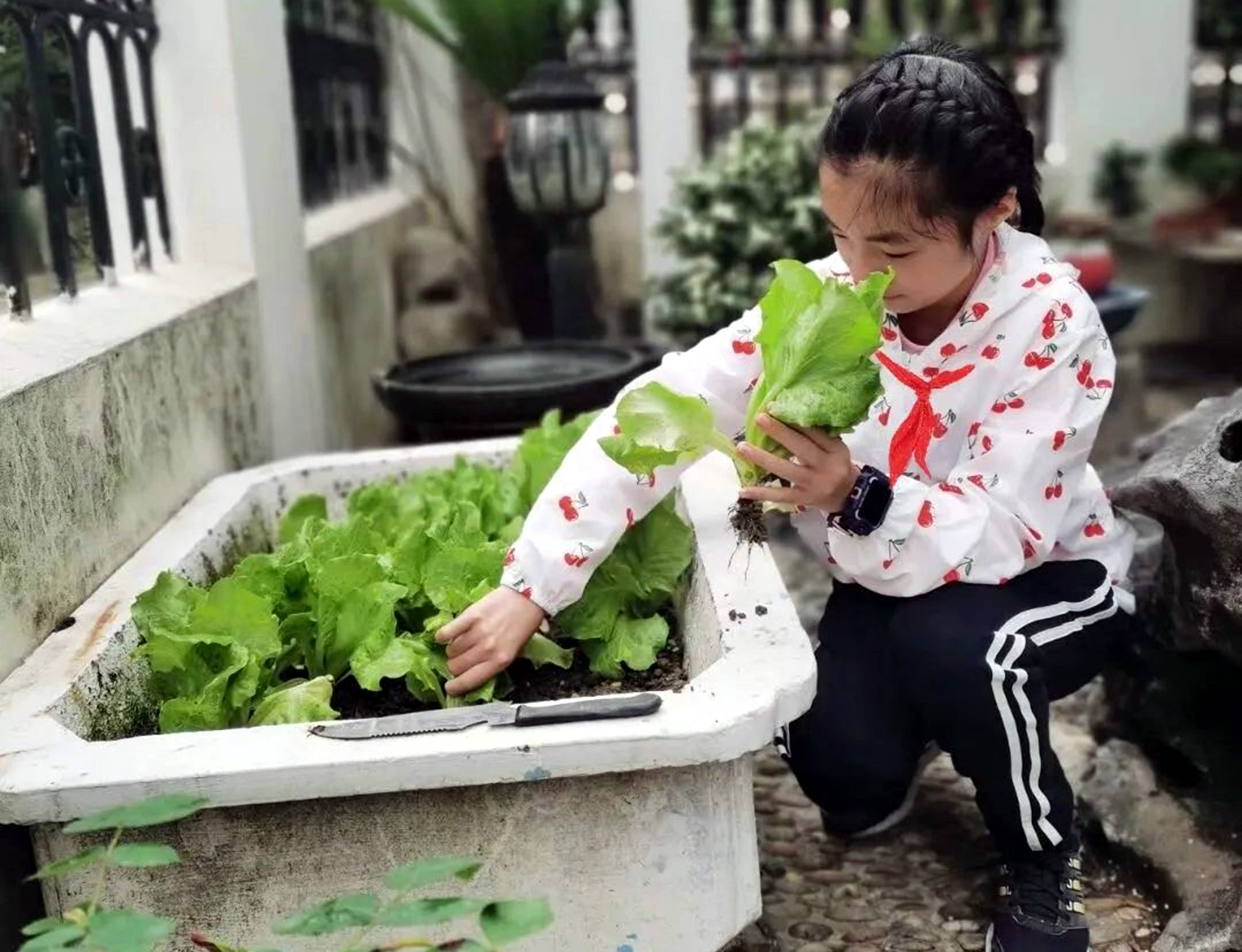 苏州市至德教育集团学生积极参与家务劳动庆祝五一劳动节