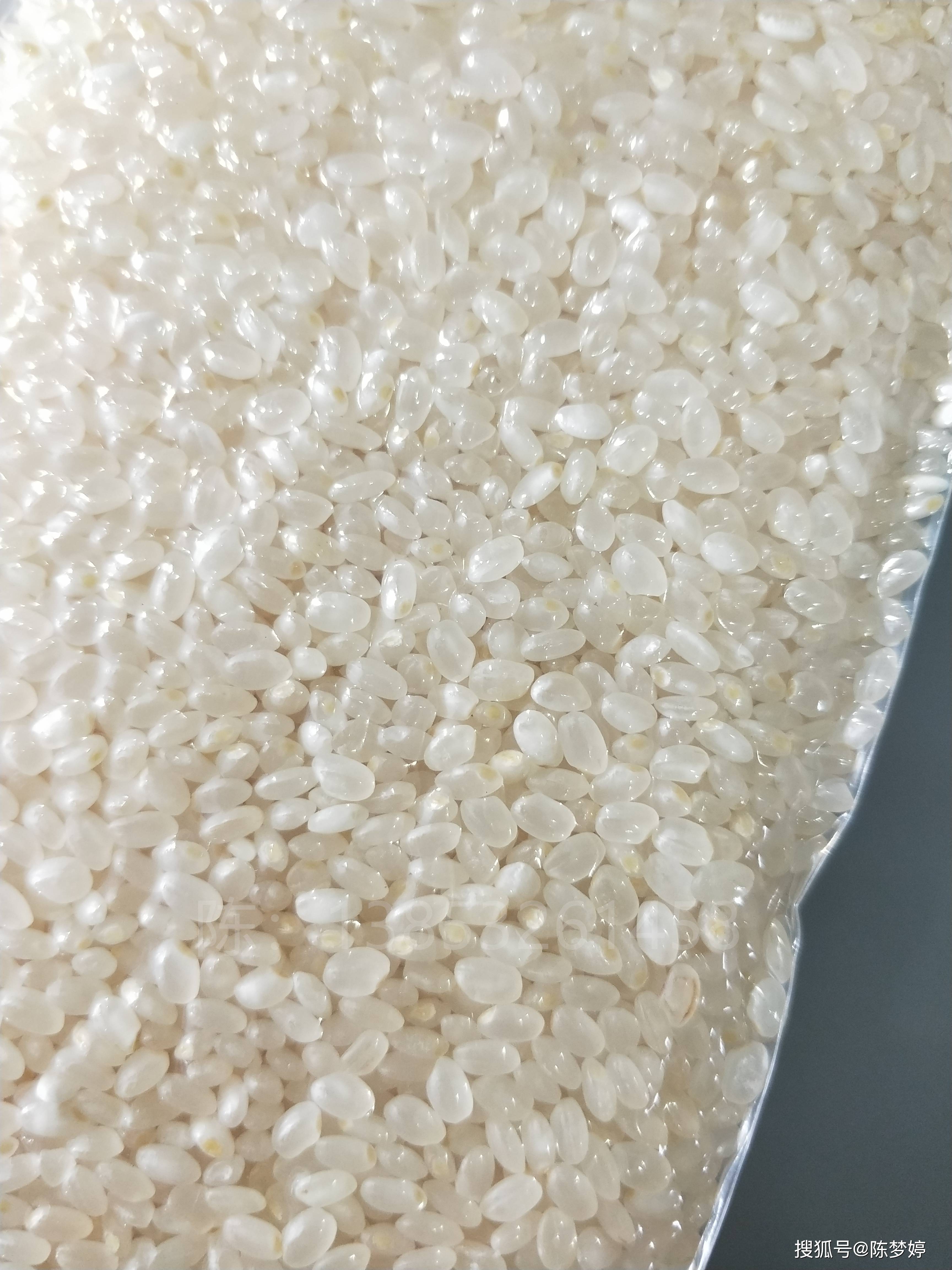 真空塑料包装袋的大米会生米虫吗