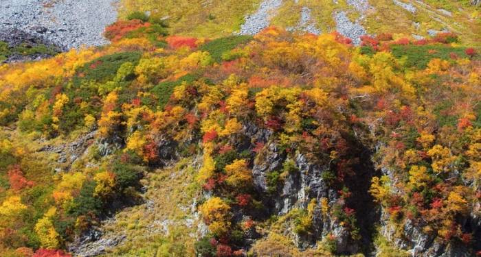 小家电的尽头只有“戴森”？众多企业可以闯出一条新道-家电圈官网