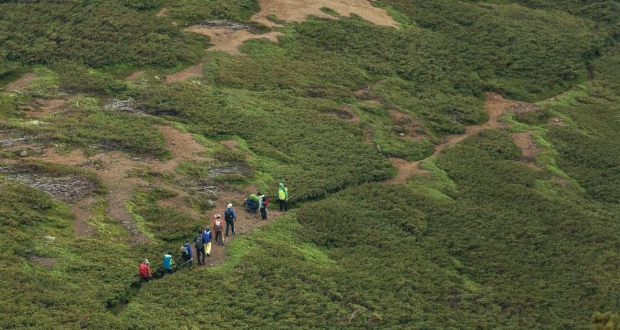今年家电厂商面前有“两座大山”：缺信心和没耐心-家电圈官网