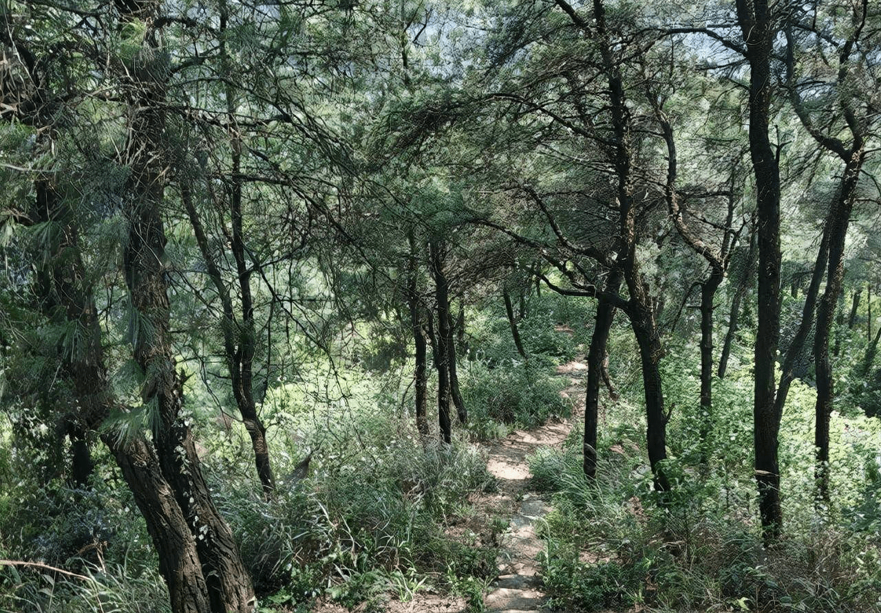 壁山云雾山图片