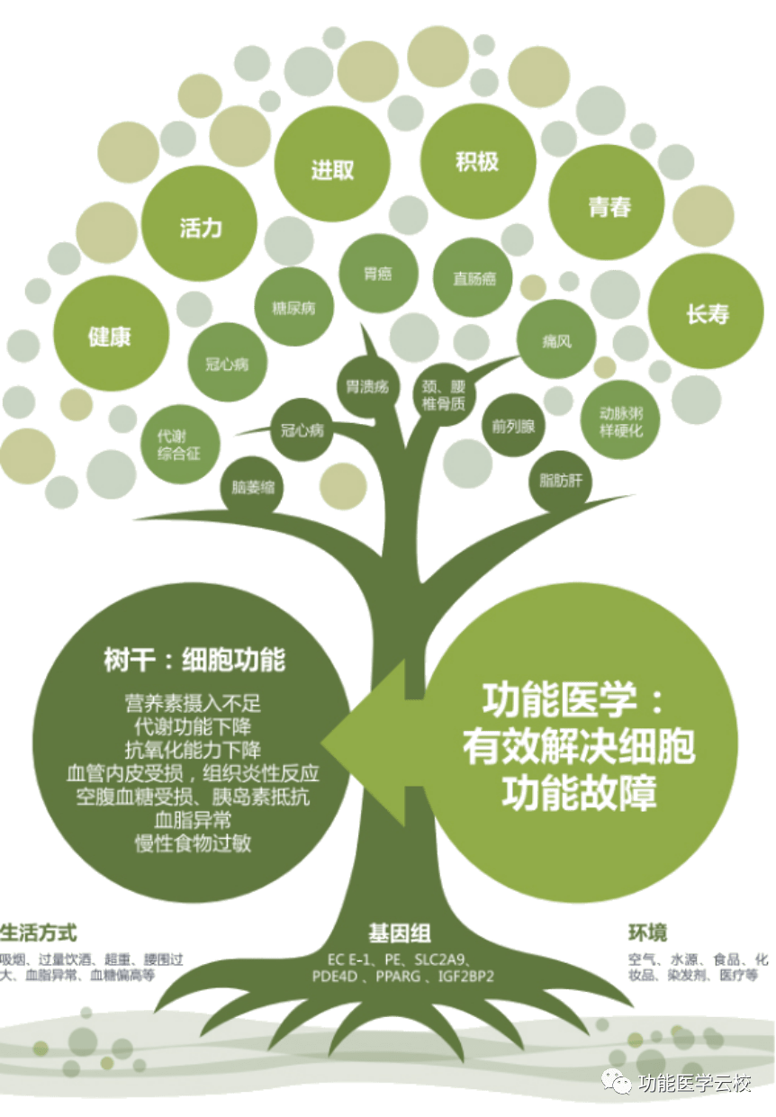 协会基因健康管理中心职责_基因健康管理协会_协会基因健康管理工作总结