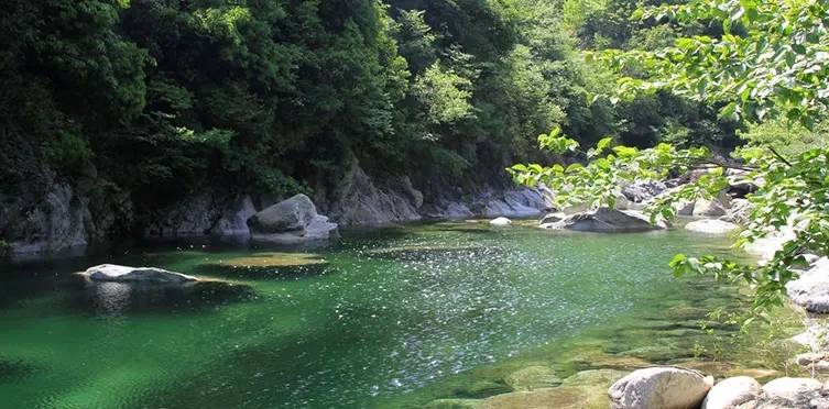 細雨飛虹,金盆映月,喜鵲登枝,一洞桃源龍起舞;作者:霞浦楹聯學會