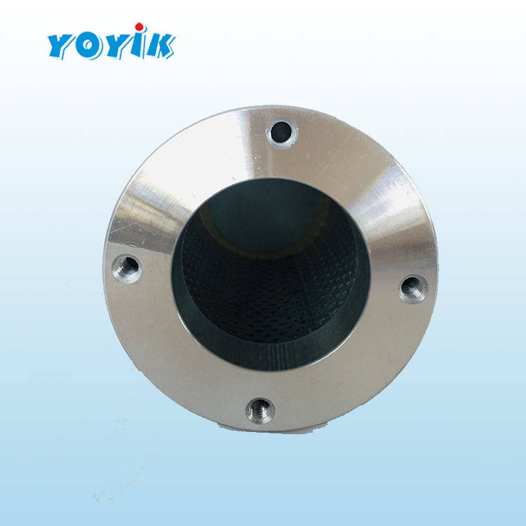 东方一力过滤器swfy4定冷水泵出口过滤器工作抗燃滤芯水过滤器配件