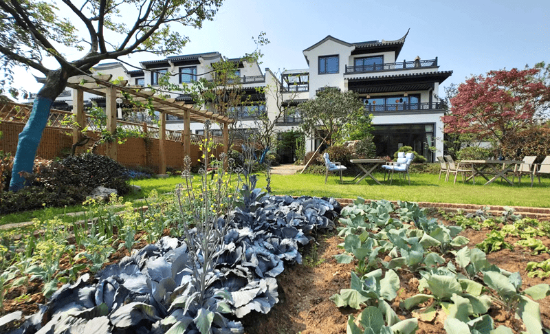 武汉城市圈商贸服务协会党委书记章骏带队赴嘉鱼蓝城春风田野小镇考察