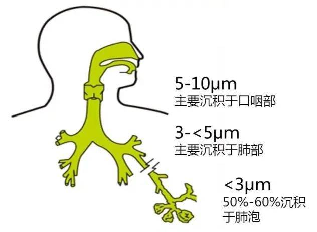 呼吸机雾化器连接图图片