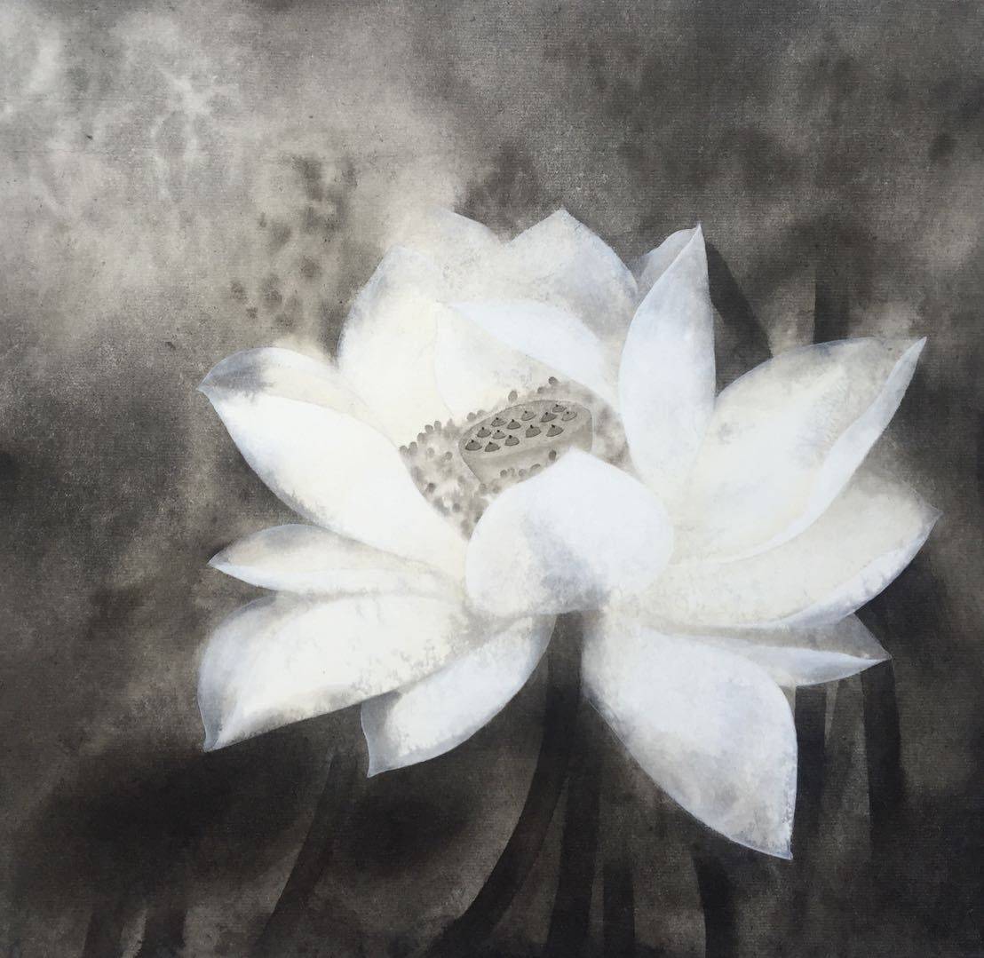 赵夜白肖静刘金石周思羽梁亚力吴本新吴希平丁漓谭韵梁焰赵郎(继志)