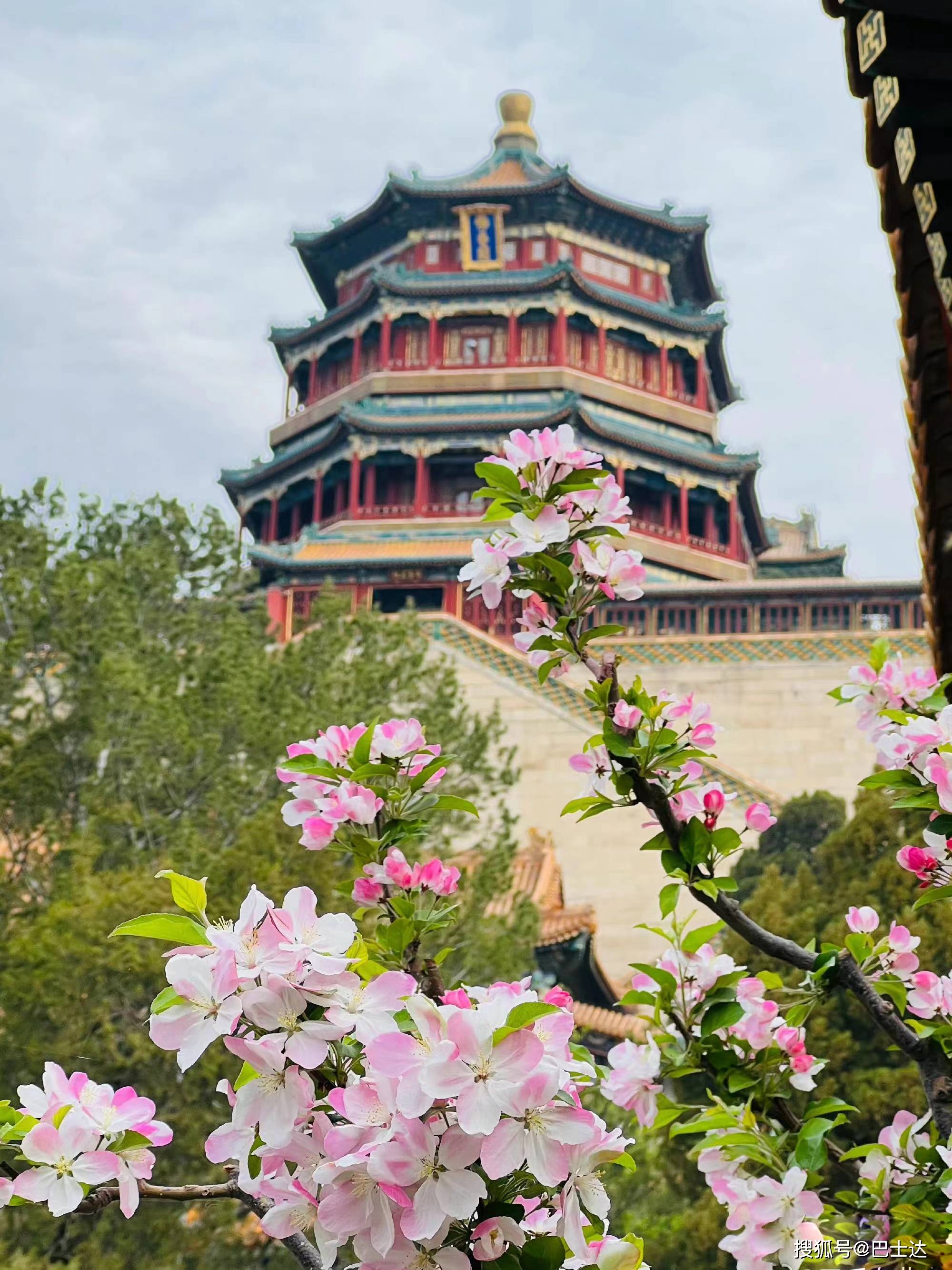 院内花卉植有玉兰,海棠,牡丹等,名花满院,寓"玉堂富贵"之意