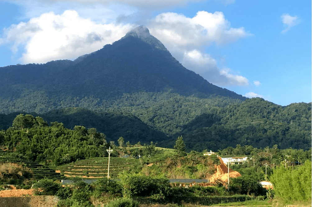 一次說走就走的旅行