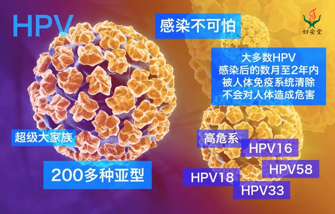 23张图片，妇安堂带你认识宫颈癌的罪魁祸首——hpv