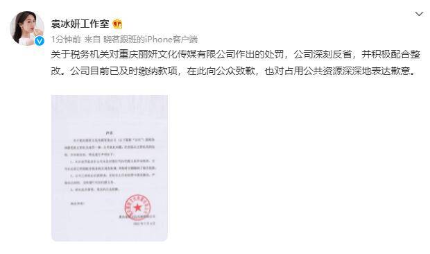 重庆丽妍文化传媒有限公司因偷漏税被罚97.8万元
