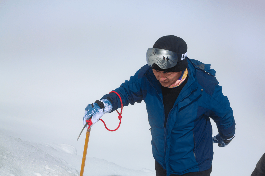 乐行高山梅永刚努力过不后悔让今生不留遗憾