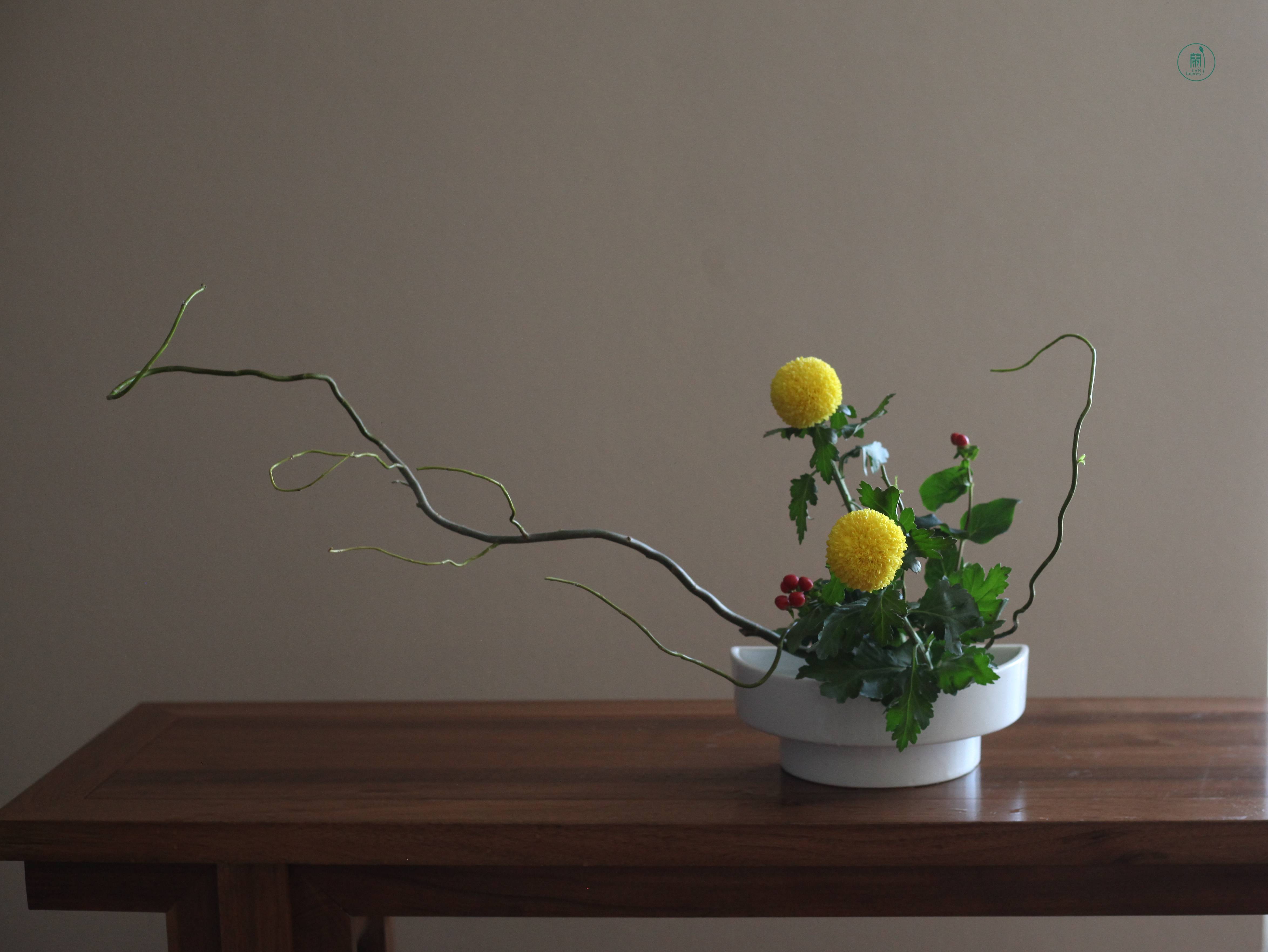 西安小原流花道|夏日生活美学课