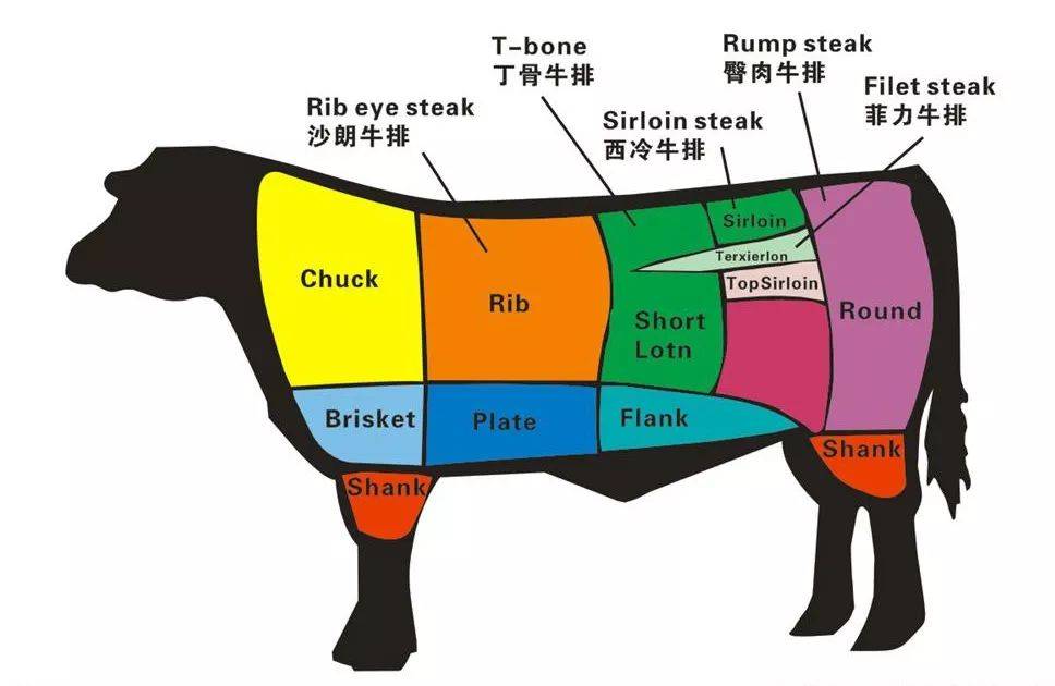 我們可以先看一下下面這張【牛肉各部位分解圖】:從牛身中間作一個