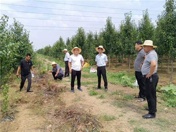 该镇市人大代表,南沙河镇党委书记赵聪,市人大代表,南沙河镇党委副