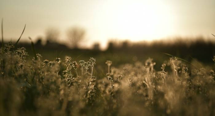 没有管不好的市场秩序,只有不敢管的家电营销人-家电圈官网