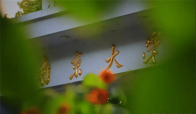 南大历史系毕业,玄奘寺传真法师到底什么来头?_寺庙_李义_难民