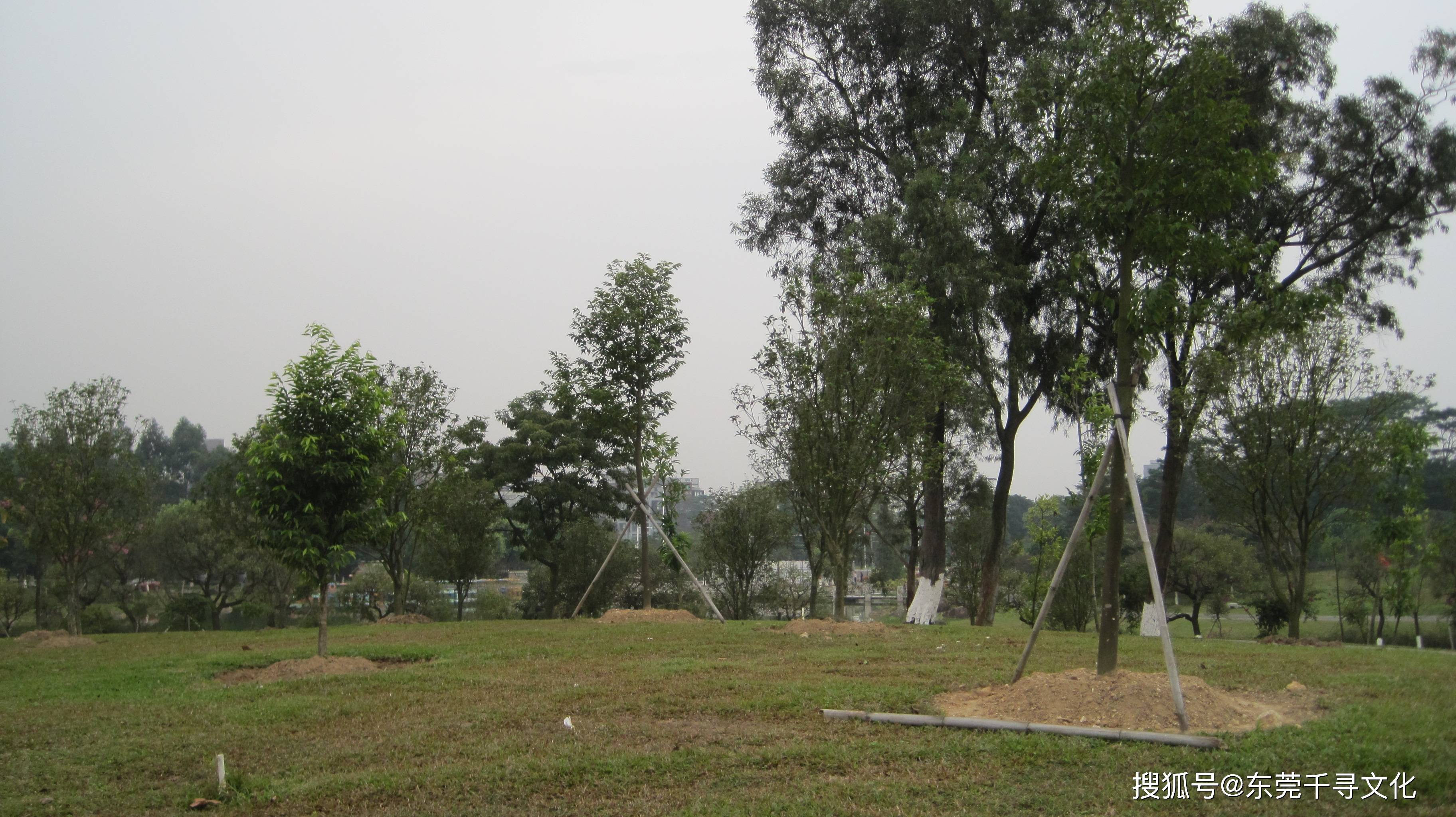 松山湖中心公园定向寻宝之闯关活动方案